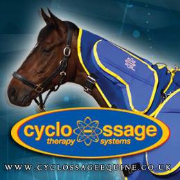 Cyclo-ssage: Full body massage system